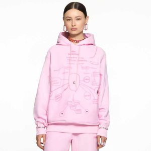 ADVISORY BOARD CRYSTALS Explanation of the Foregoing Phenomena hoodie, Pink