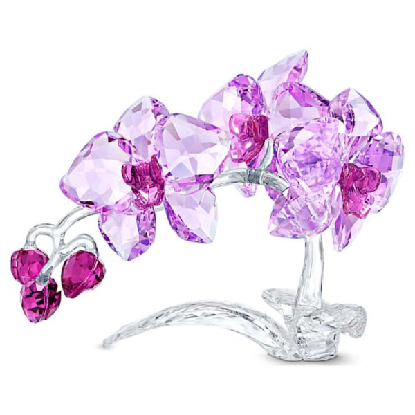 Crystal Flowers Orchid - Image 2