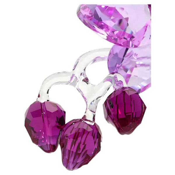 Crystal Flowers Orchid - Image 3
