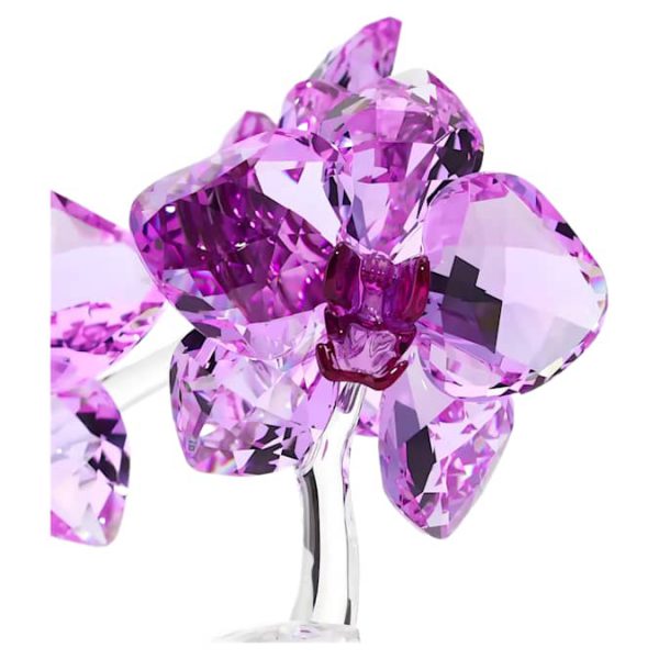 Crystal Flowers Orchid - Image 4