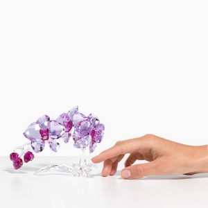 Crystal Flowers Orchid
