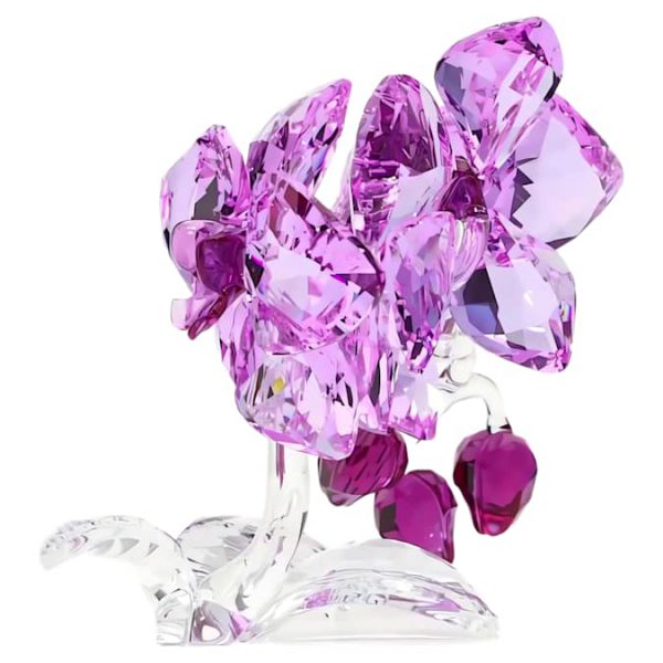 Crystal Flowers Orchid - Image 5