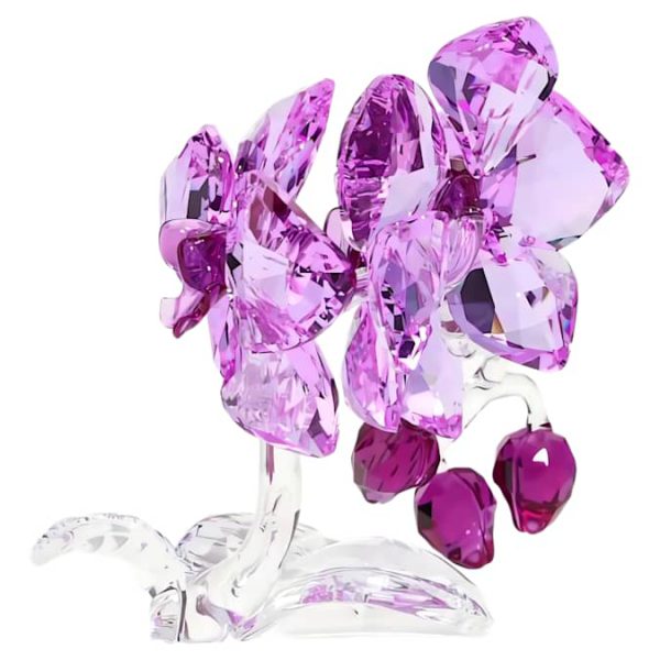Crystal Flowers Orchid - Image 6