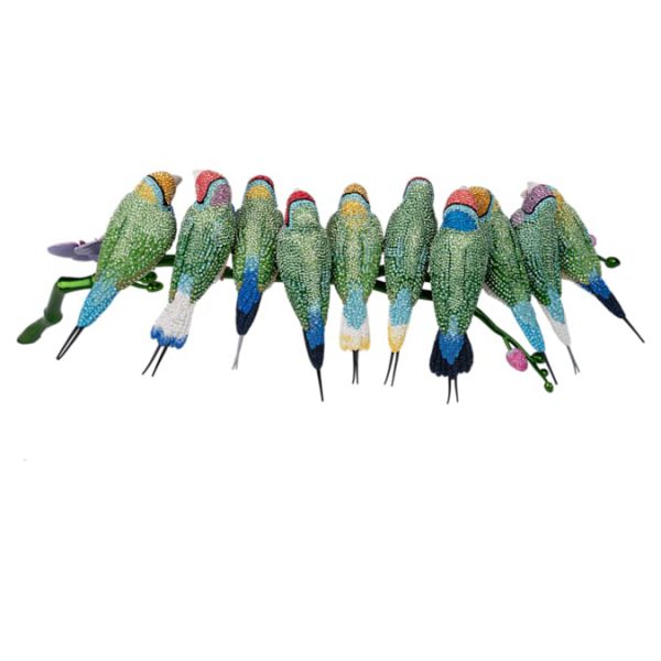 Crystal Myriad Gouldian Finches - Image 4
