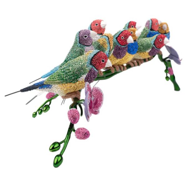 Crystal Myriad Gouldian Finches - Image 6