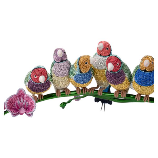 Crystal Myriad Gouldian Finches - Image 7