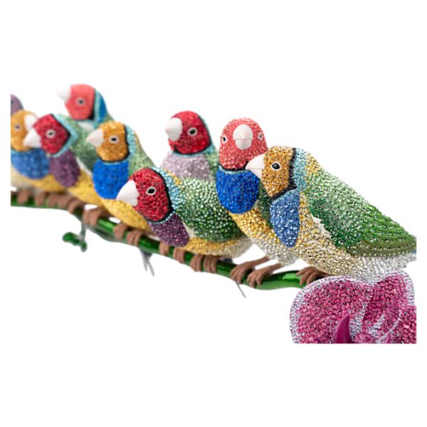 Crystal Myriad Gouldian Finches - Image 8