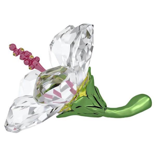 Florere Hibiscus Small - Image 2