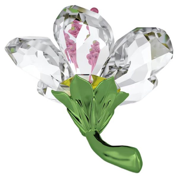 Florere Hibiscus Small - Image 3