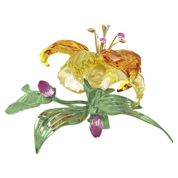 Florere Lily Large - Image 3
