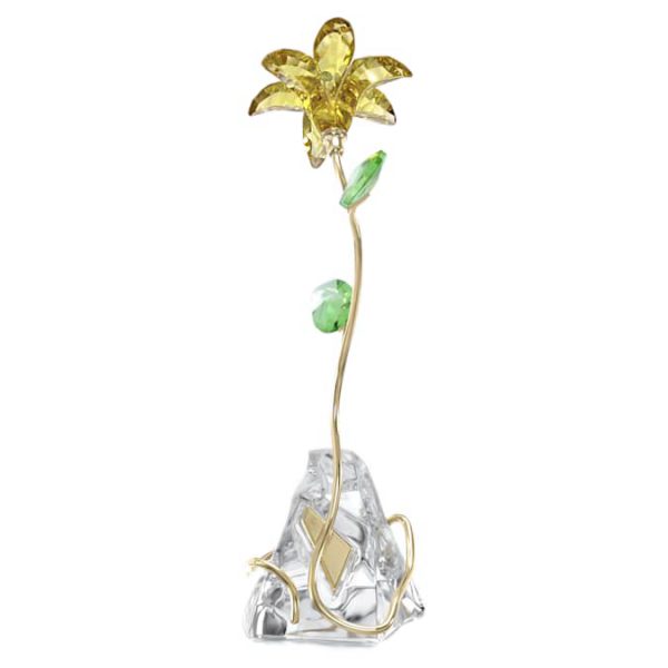 Florere Lily - Image 2