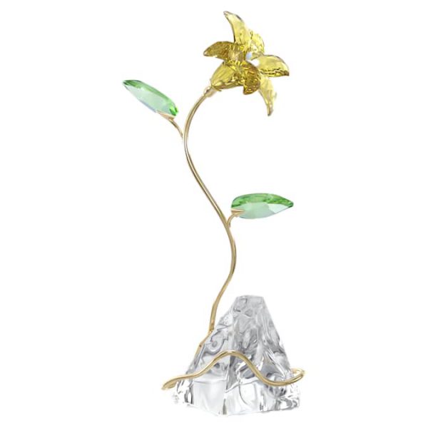 Florere Lily - Image 3