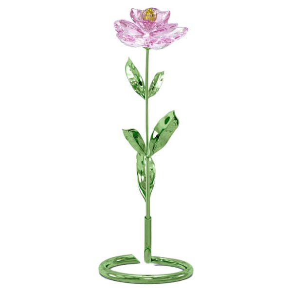 Florere Peony - Image 2
