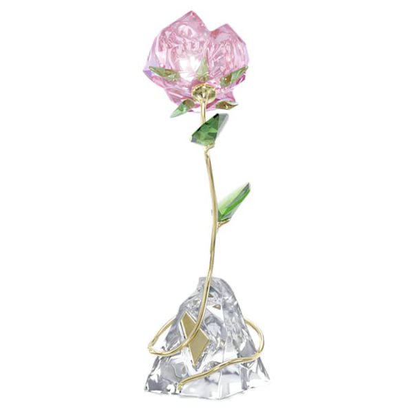 Florere Rose - Image 2