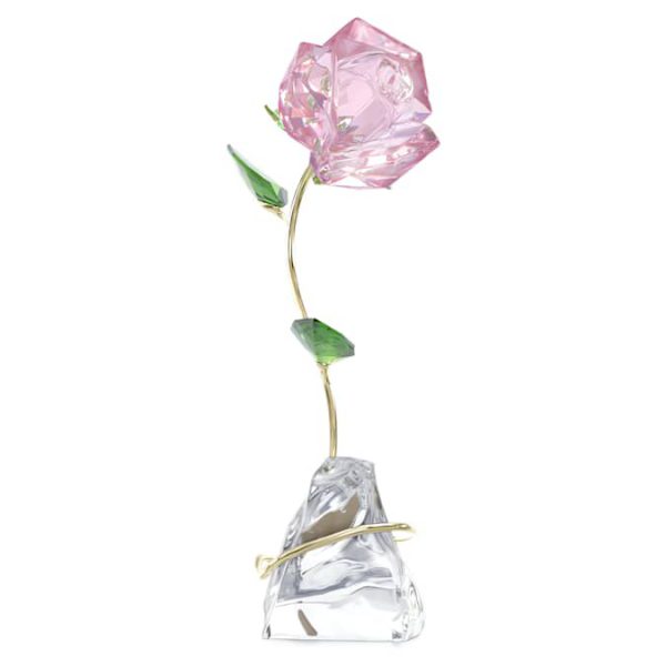 Florere Rose - Image 3