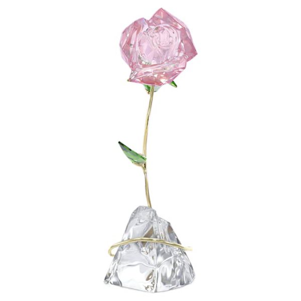 Florere Rose - Image 4