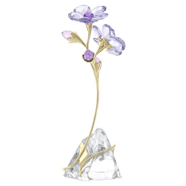 Florere Rozanne - Image 3