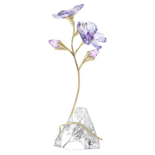 Florere Rozanne - Image 4