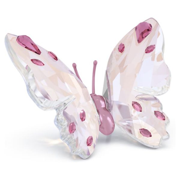 Idyllia Butterfly Small