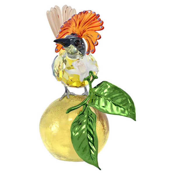 Idyllia Royal Flycatcher - Image 2