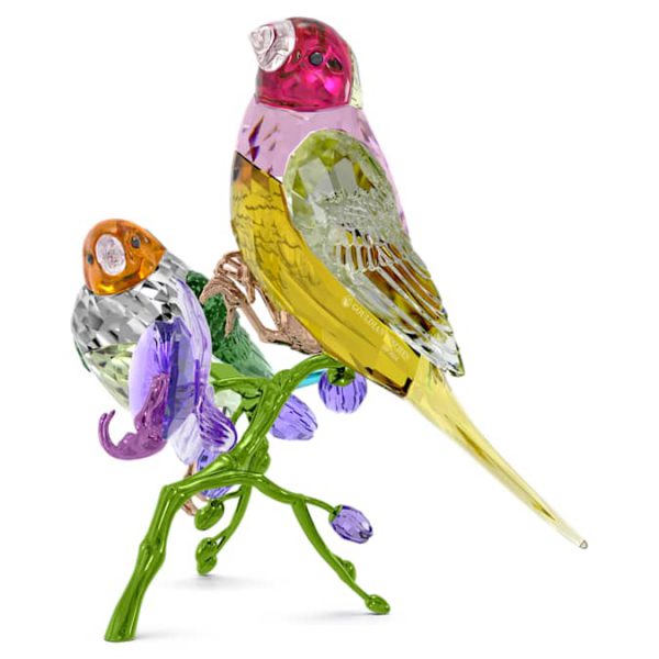 Idyllia SCS Annual Edition 2024 Gouldian Finches - Image 2