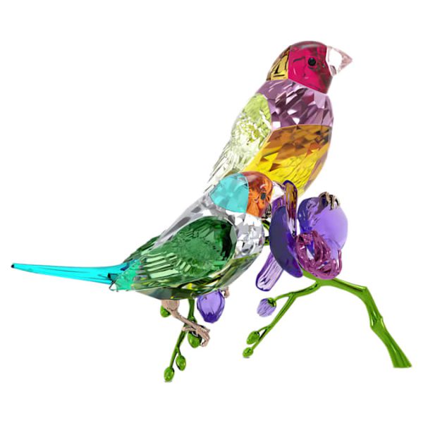 Idyllia SCS Annual Edition 2024 Gouldian Finches - Image 3
