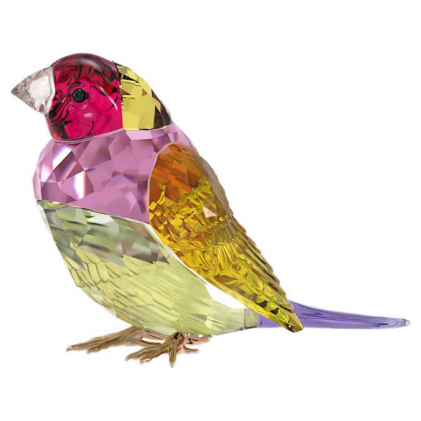 Idyllia SCS Gouldian Finch Large - Image 3