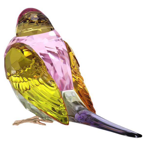 Idyllia SCS Gouldian Finch Large - Image 4