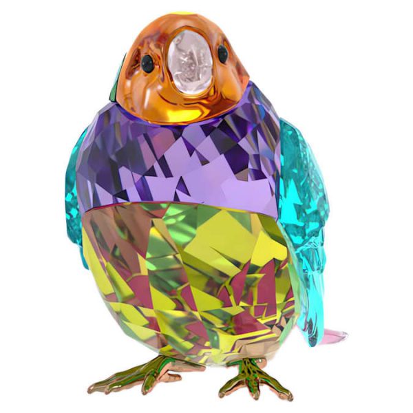Idyllia SCS Gouldian Finch Small - Image 4