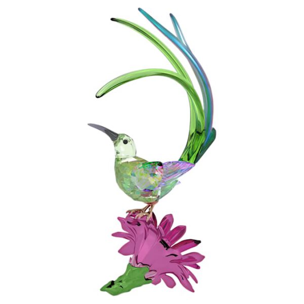 Idyllia Sugarbird and Cactus Flower - Image 3