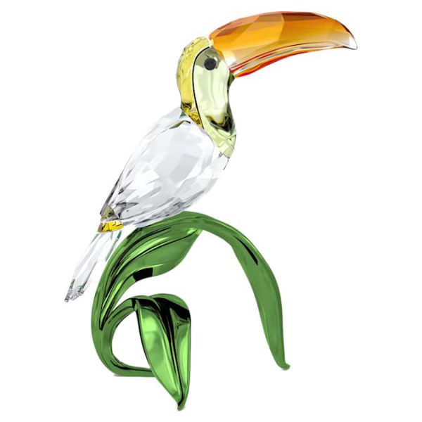 Idyllia Toucan - Image 3
