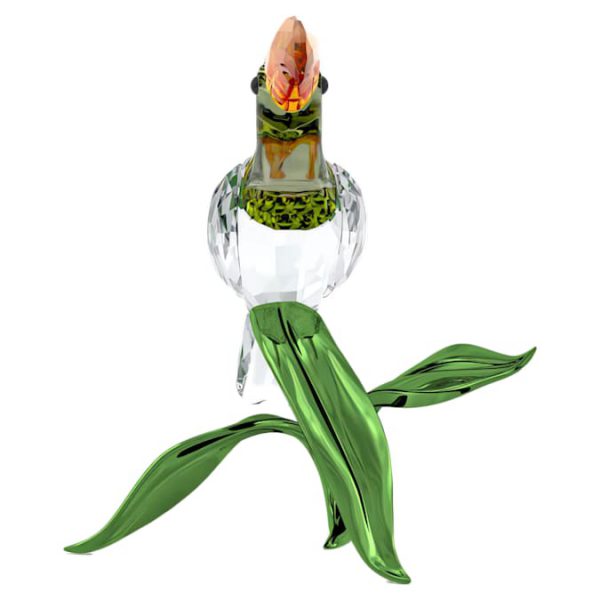 Idyllia Toucan - Image 4
