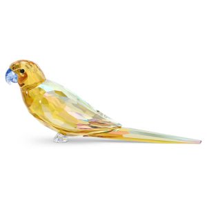Jungle Beats Yellow Parakeet Lechee