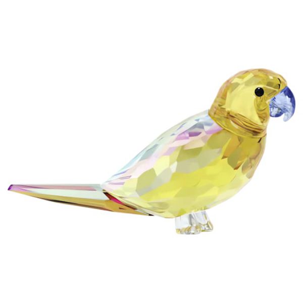 Jungle Beats Yellow Parakeet Lechee - Image 3