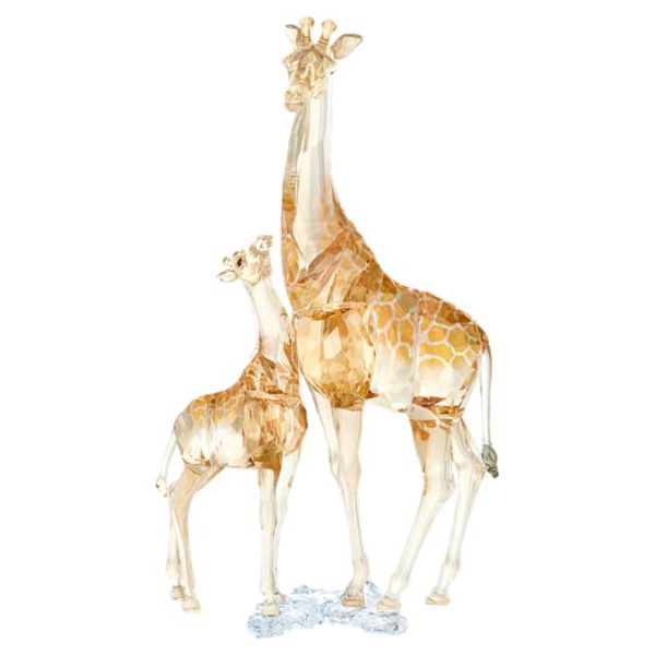 SCS Annual Edition 2018 Giraffe Mudiwa - Image 2