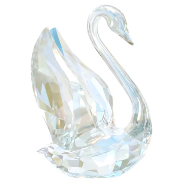 SCS Annual Edition Swan 2024 - Image 2