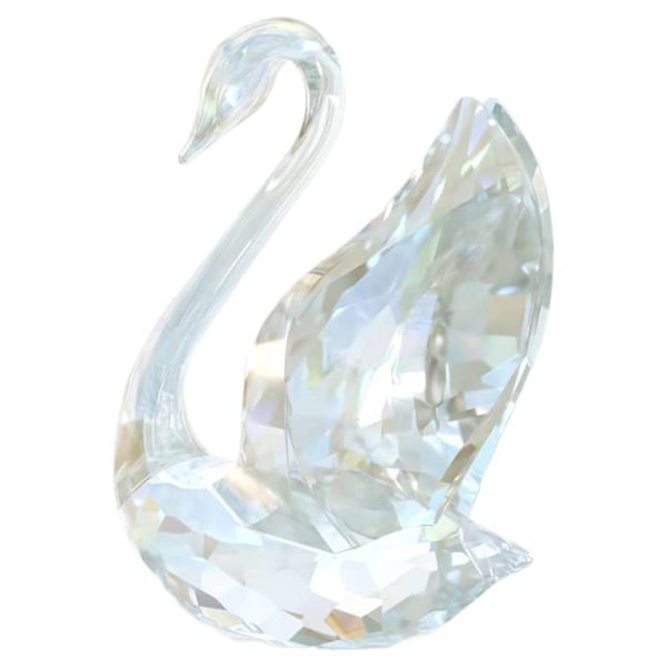 SCS Annual Edition Swan 2024 - Image 3
