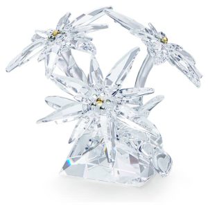 SCS Edelweiss
