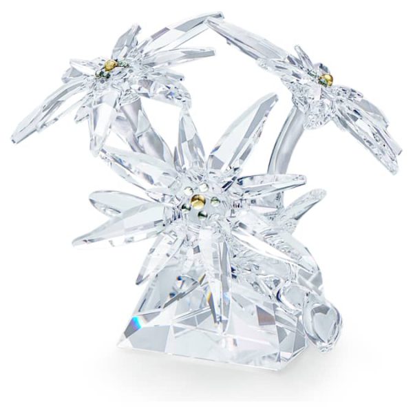 SCS Edelweiss
