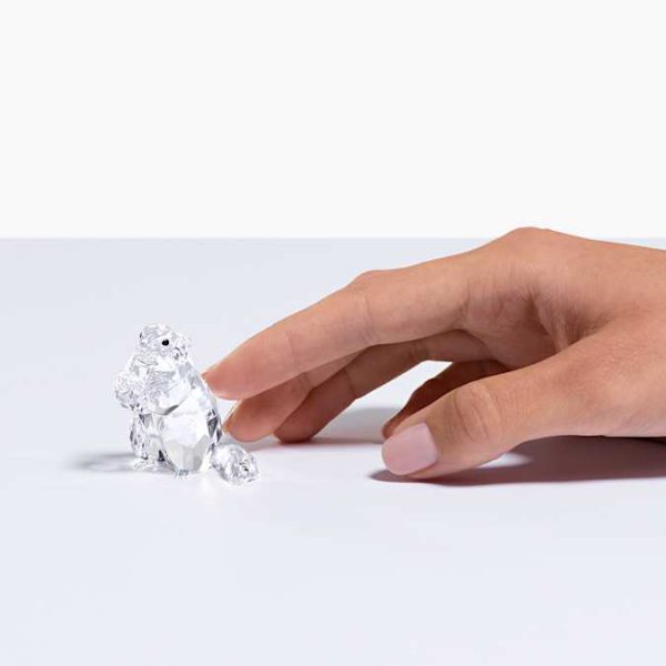 SCS Marmot (Event Piece 2020)