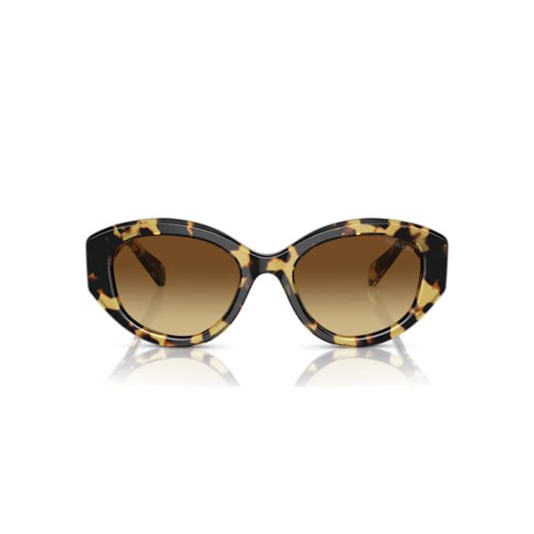 Sunglasses Cat-eye shape, SK6008, Brown - Image 3