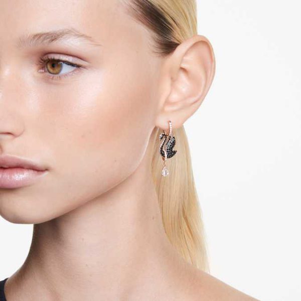 Swan drop earrings Swan, Black, Rose gold-tone plated